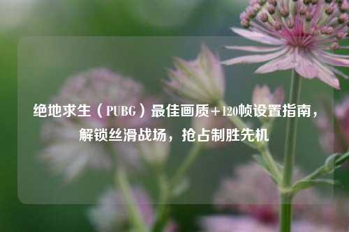 绝地求生(PUBG)更佳画质+120帧设置指南,解锁丝滑战场,抢占制胜先机