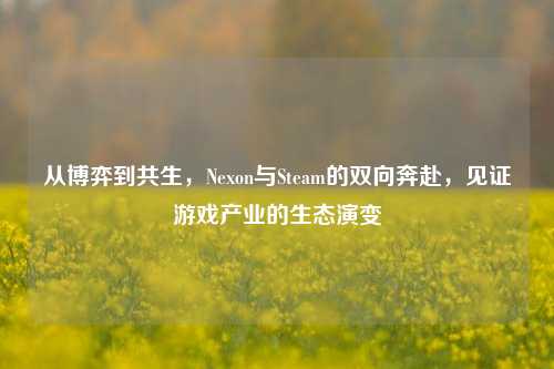 从博弈到共生,Nexon与Steam的双向奔赴,见证游戏产业的生态演变