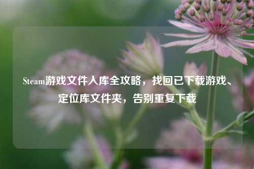 Steam游戏文件入库全攻略,找回已下载游戏、定位库文件夹,告别重复下载