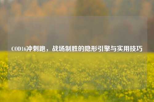 COD16冲刺跑,战场制胜的隐形引擎与实用技巧