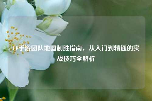 CF手游团队地图制胜指南,从入门到精通的实战技巧全解析