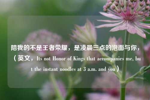 陪我的不是王者荣耀,是凌晨三点的泡面与你,(英文,Its not Honor of Kings that accompanies me, but the instant noodles at 3 a.m. and you)