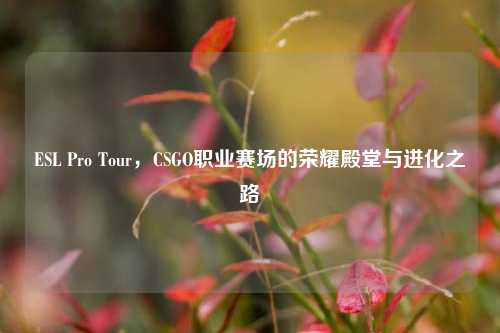 ESL Pro Tour,CSGO职业赛场的荣耀殿堂与进化之路