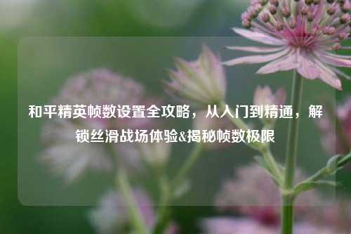 和平精英帧数设置全攻略,从入门到精通,解锁丝滑战场体验&揭秘帧数极限