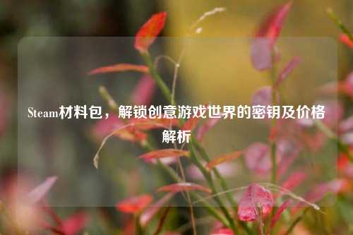 Steam材料包,解锁创意游戏世界的密钥及价格解析