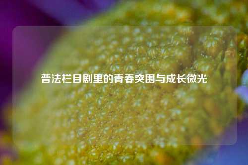 普法栏目剧里的青春突围与成长微光