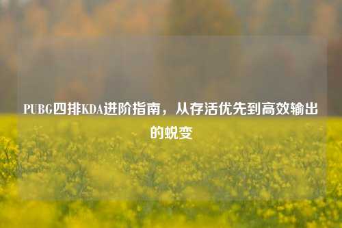 PUBG四排KDA进阶指南,从存活优先到高效输出的蜕变
