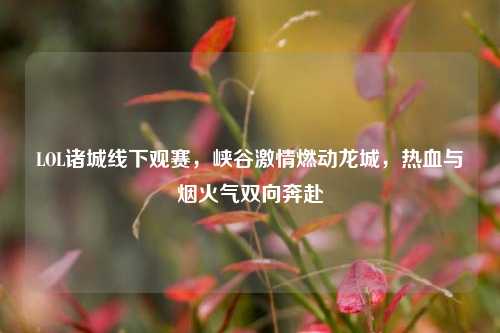 LOL诸城线下观赛,峡谷激情燃动龙城,热血与烟火气双向奔赴