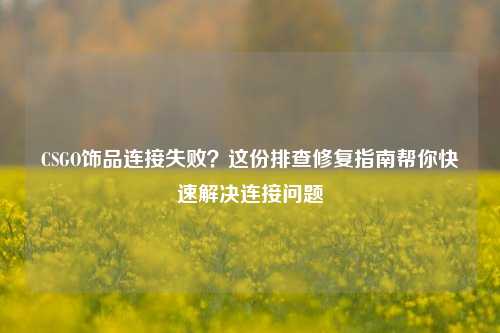 CSGO饰品连接失败?这份排查修复指南帮你快速解决连接问题