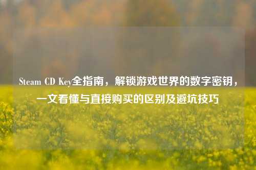 Steam CD Key全指南,解锁游戏世界的数字密钥,一文看懂与直接购买的区别及避坑技巧