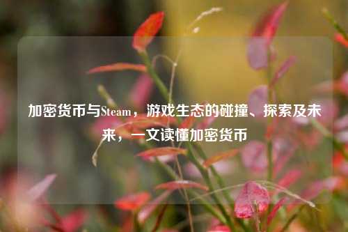 加密货币与Steam,游戏生态的碰撞、探索及未来,一文读懂加密货币