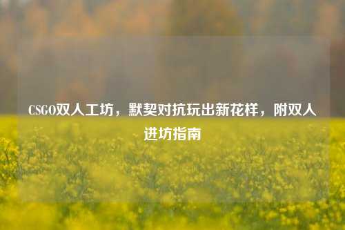 CSGO双人工坊，默契对抗玩出新花样，附双人进坊指南