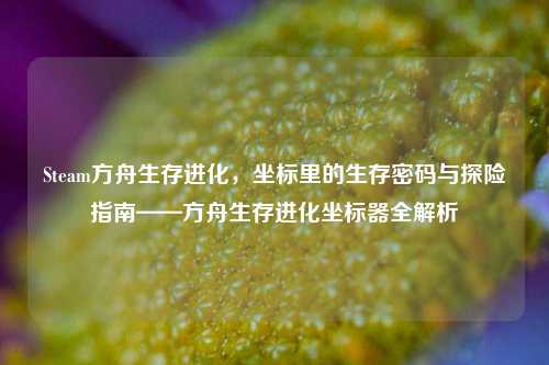 Steam方舟生存进化,坐标里的生存密码与探险指南——方舟生存进化坐标器全解析