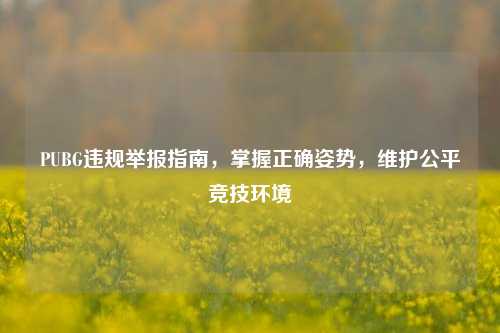 PUBG违规举报指南,掌握正确姿势,维护公平竞技环境