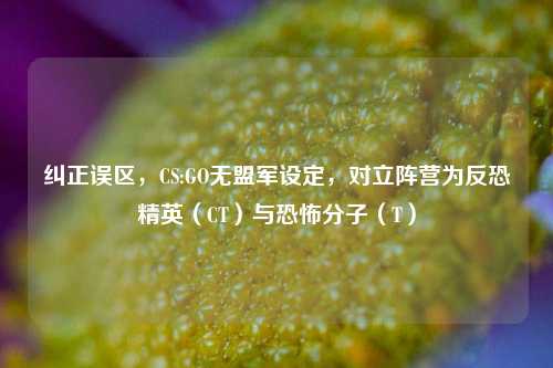纠正误区,CS:GO无盟军设定,对立阵营为反恐精英(CT)与 *** (T)