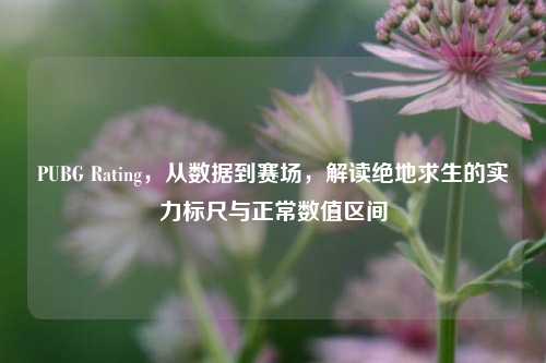 PUBG Rating,从数据到赛场,解读绝地求生的实力标尺与正常数值区间