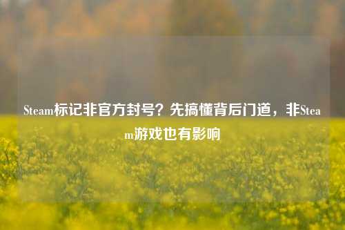 Steam标记非官方封号?先搞懂背后门道,非Steam游戏也有影响