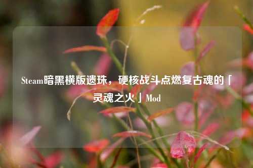 Steam暗黑横版遗珠,硬核战斗点燃复古魂的「灵魂之火」Mod