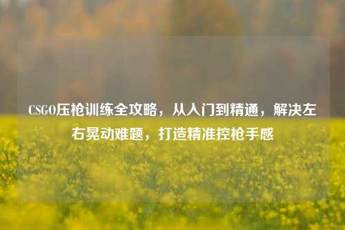 CSGO压枪训练全攻略,从入门到精通,解决左右晃动难题,打造精准控 *** 感