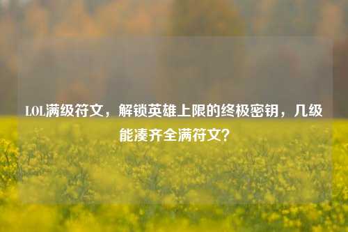 LOL满级符文,解锁英雄上限的终极密钥,几级能凑齐全满符文?