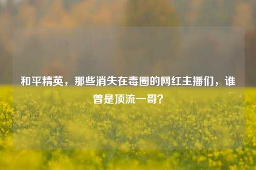 和平精英，那些消失在毒圈的网红主播们，谁曾是顶流一哥？