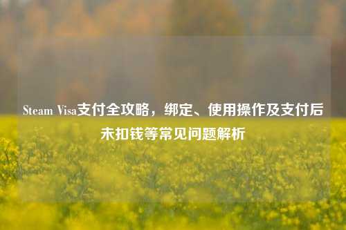 Steam Visa支付全攻略,绑定、使用操作及支付后未扣钱等常见问题解析