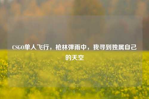 CSGO单人飞行,枪林弹雨中,我寻到独属自己的天空