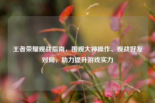 王者荣耀观战指南,围观大神操作、观战好友对局,助力提升游戏实力