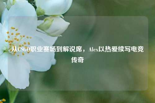 从CSGO职业赛场到解说席,Alex以热爱续写电竞传奇