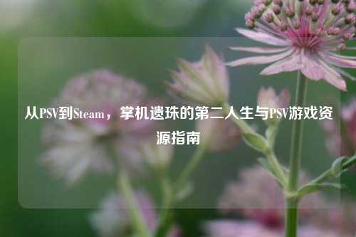 从PSV到Steam,掌机遗珠的第二人生与PSV游戏资源指南