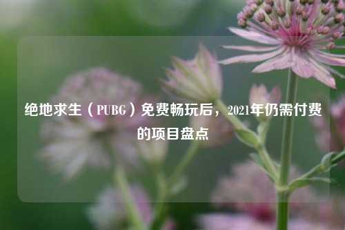 绝地求生（PUBG）免费畅玩后，2021年仍需付费的项目盘点